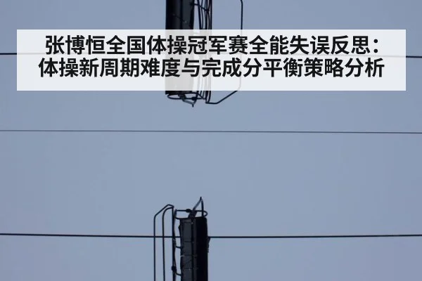 张博恒全国体操冠军赛全能失误反思：体操新周期难度与完成分平衡策略分析